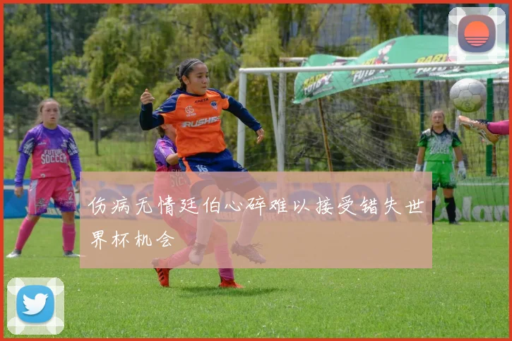 伤病无情廷伯心碎难以接受错失世界杯机会