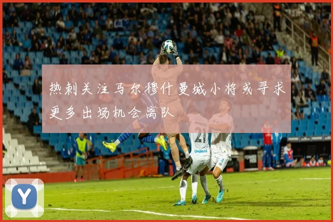 热刺关注马尔穆什曼城小将或寻求更多出场机会离队