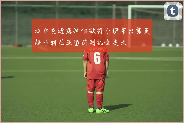 法尔克透露拜仁欲将小伊布出售英超帕利尼亚留热刺机会更大