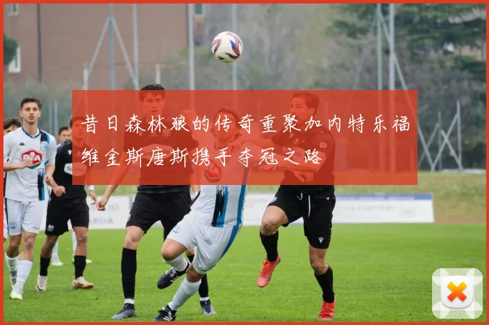 昔日森林狼的传奇重聚加内特乐福维金斯唐斯携手夺冠之路